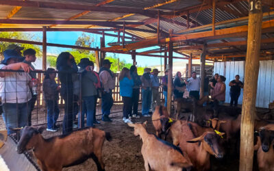 Crianceros caprinos conocen innovadoras experiencias en gira técnica a Ovalle