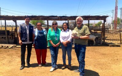 Director Nacional de INDAP recorre Tiltil para conocer Programa de Apoyo Caprino